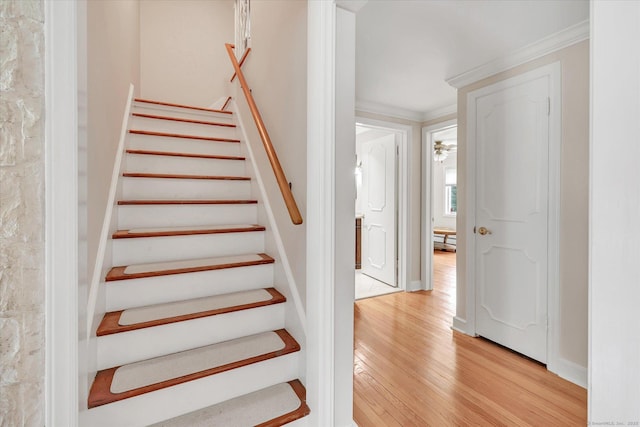 319 Wheeler Park Ave, Fairfield, CT 06825 - photo 28