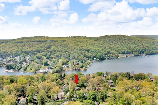 drone / aerial view featuring a water view and a view of trees