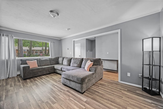 333 Vincellette St Unit 25, Bridgeport, CT 06606 - living area featuring wood finished floors, ornamental molding, and baseboards