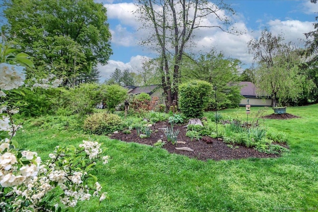 view of grassy yard