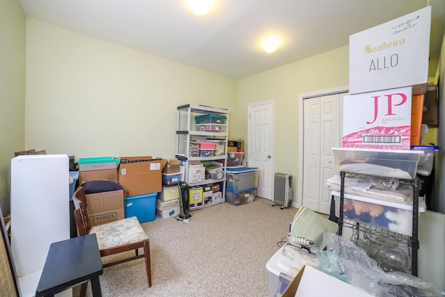 storage area featuring radiator