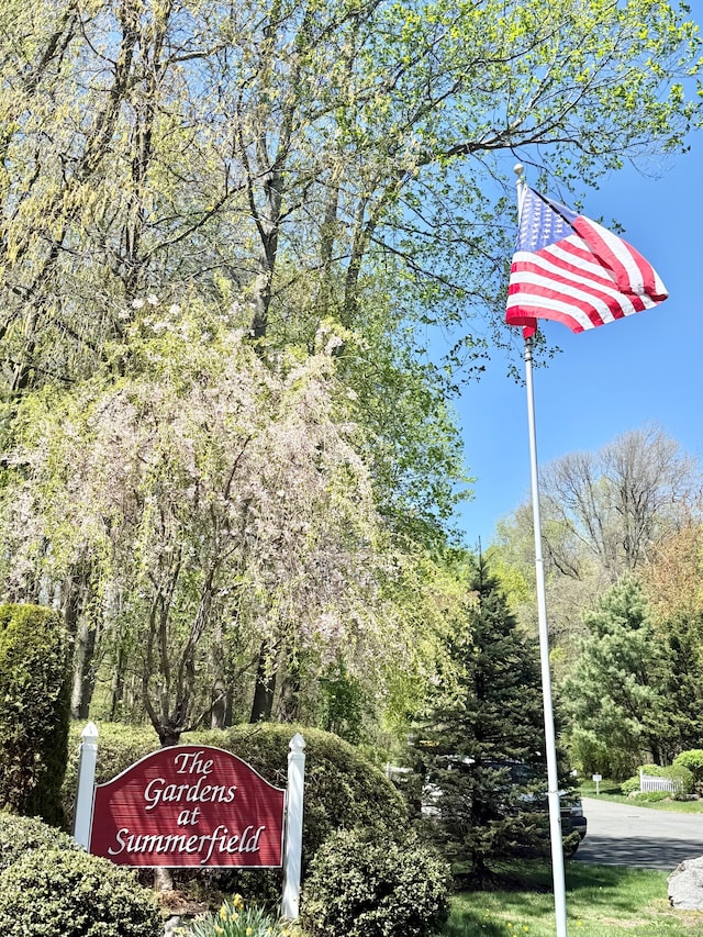 253 Summerfield Gdns Unit 253, Shelton, CT 06484 - exterior view