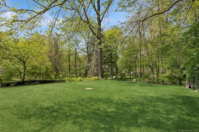 128 W Ave, Darien, CT 06820 - view of green lawn
