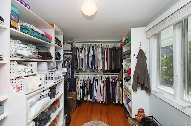 spacious closet featuring wood finished floors