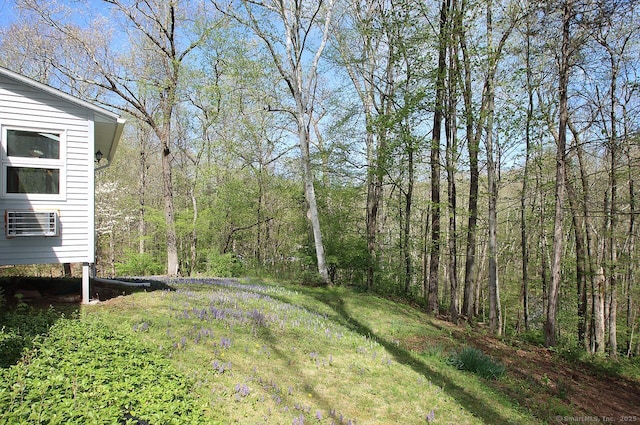 view of yard featuring a wooded view