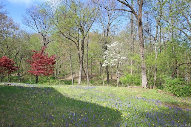 view of yard featuring a forest view