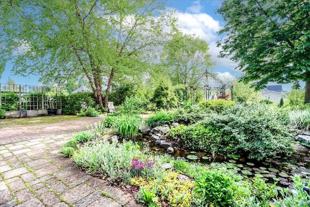 110 Deer Hill Ave, Danbury, CT 06810 - view of yard with a garden