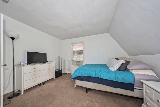 224 1st Ave, West Haven, CT 06516 - carpeted bedroom with radiator heating unit and lofted ceiling