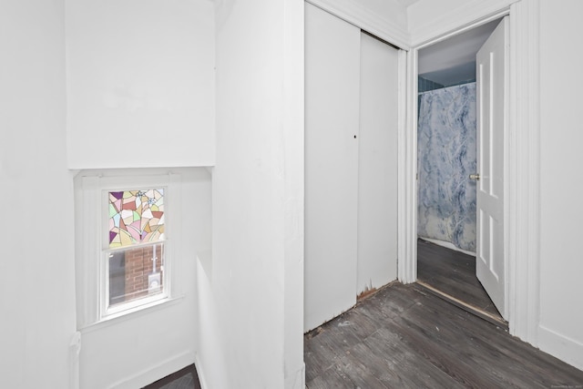 224 1st Ave, West Haven, CT 06516 - hall featuring dark wood-type flooring