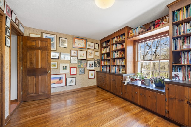 7 Partridge Ln, Burlington, CT 06013 - office with light wood-style flooring, baseboards, and a textured ceiling