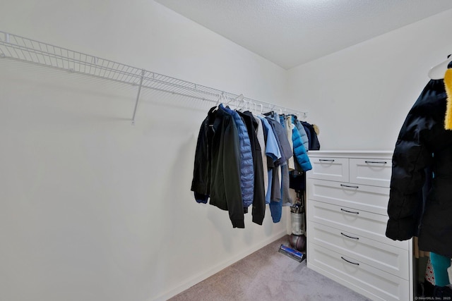 spacious closet featuring light carpet