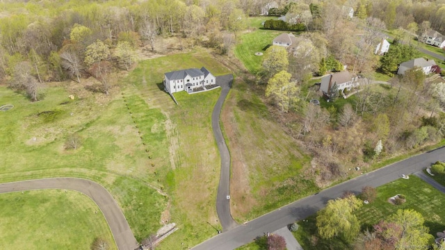 drone / aerial view