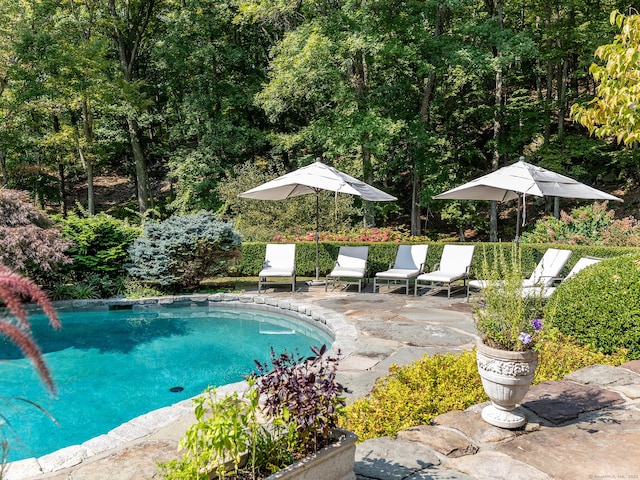 outdoor pool featuring a patio