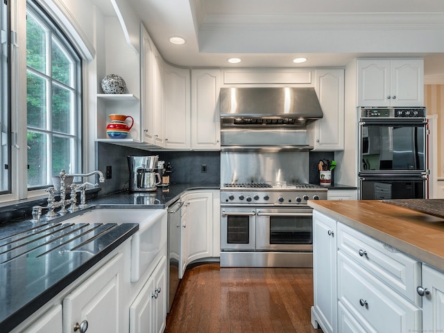 kitchen featuring appliances with stainless steel finishes, under cabinet range hood, ornamental molding, recessed lighting, and dark wood-style floors