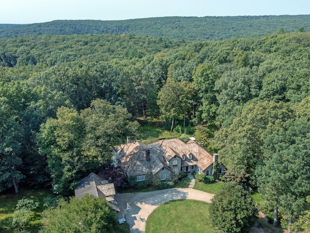 view of property location with a heavily wooded area