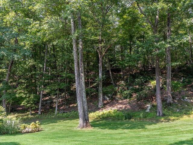 view of wooded area
