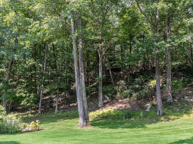 view of grassy yard featuring a forest view