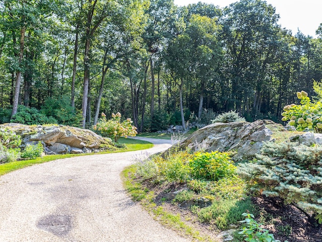 view of road featuring a wooded view