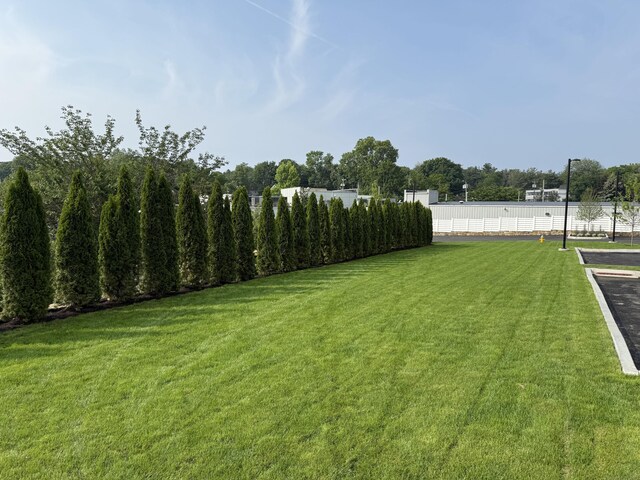 785 Post Rd E Unit 303, Westport, CT 06880 - view of yard