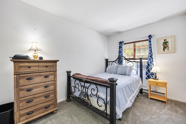 bedroom with a baseboard radiator, carpet floors, and baseboards