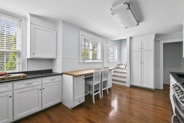 kitchen with dark wood-style flooring, a healthy amount of sunlight, and stainless steel gas stove
