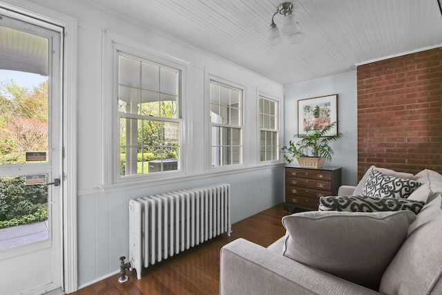 sitting room featuring crown molding, radiator, wood finished floors, and a healthy amount of sunlight