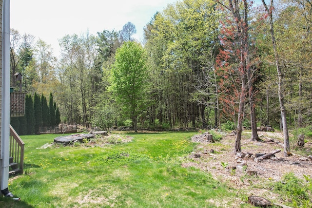 85 Chippenwood Ln, Bristol, CT 06010 - view of yard