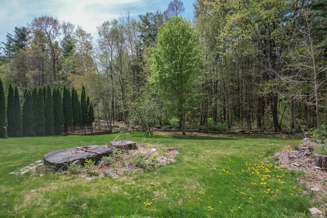 85 Chippenwood Ln, Bristol, CT 06010 - view of yard featuring a forest view