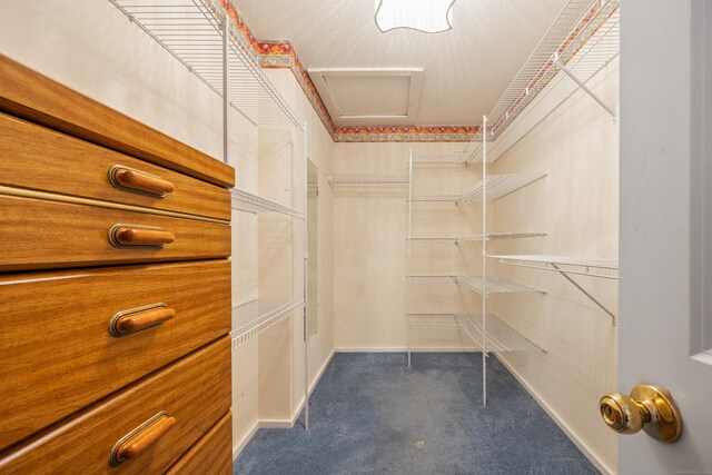 85 Chippenwood Ln, Bristol, CT 06010 - walk in closet with dark carpet