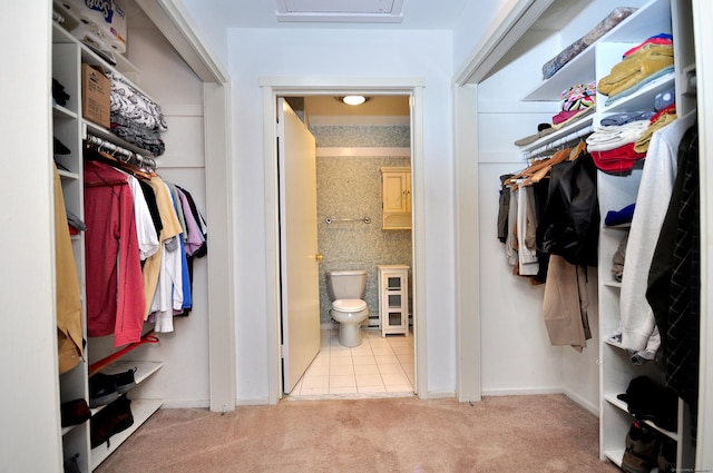 spacious closet featuring carpet floors and attic access