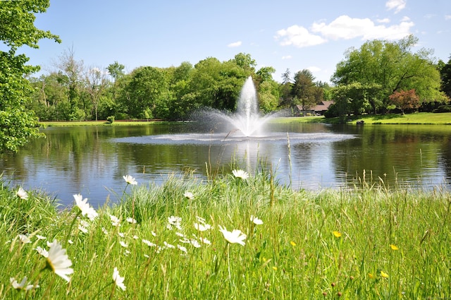 water view