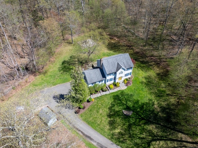 drone / aerial view