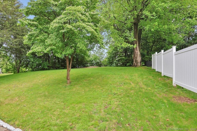 404 Brimfield Rd, Wethersfield, CT 06109 - view of yard