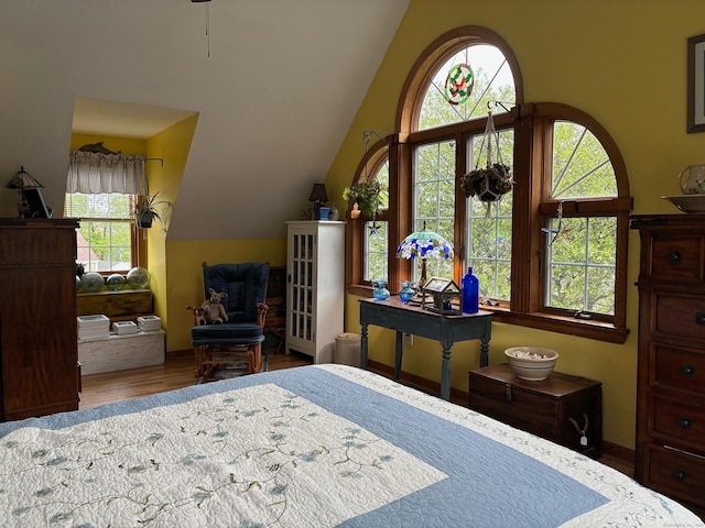 bedroom featuring multiple windows, vaulted ceiling, and wood finished floors