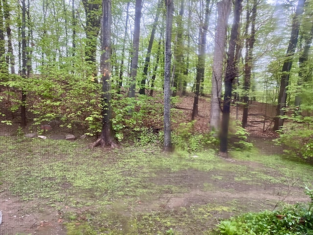 view of nature