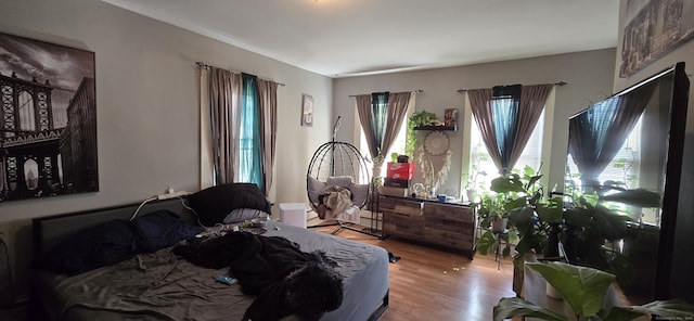bedroom featuring wood finished floors