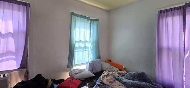 bedroom with multiple windows