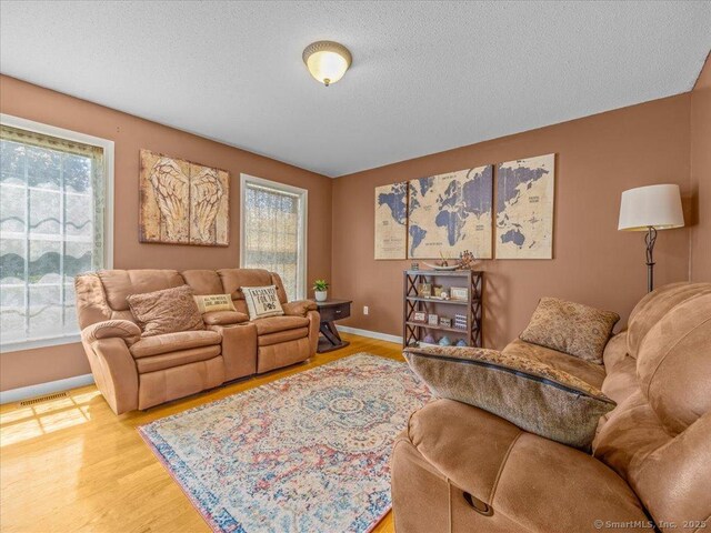149 Tromley Rd, East Windsor, CT 06088 - living area with light wood-style floors, baseboards, and a textured ceiling
