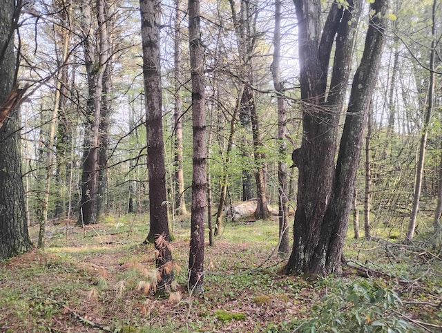 0 Deer Run Ln, Goshen CT, 06758 land for sale
