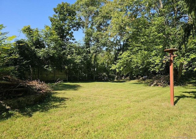 1067 Hartford Tpke, Waterford, CT 06385 - view of yard
