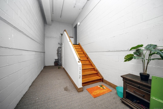 stairs featuring carpet flooring