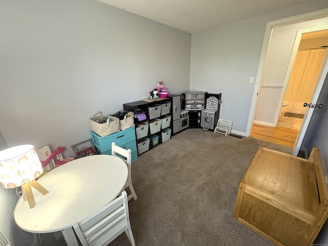 161 Old New London Rd, Salem, CT 06420 - rec room featuring baseboards and carpet