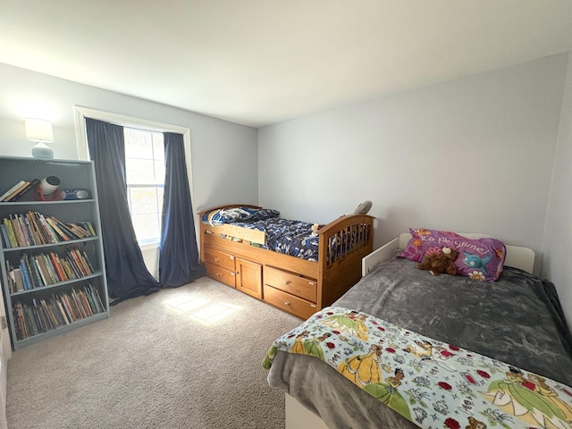 161 Old New London Rd, Salem, CT 06420 - view of carpeted bedroom
