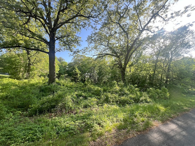 50 Snipsic Lake Rd, Ellington, CT 06029