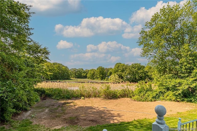 view of yard with a view of trees