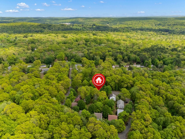 63 Schofield Rd Apt 60, Willington, CT 06279 - bird's eye view of a heavily wooded area