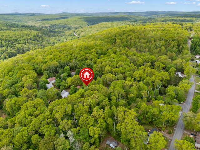63 Schofield Rd Apt 60, Willington, CT 06279 - aerial view of a forest
