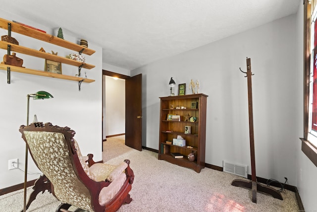 63 Schofield Rd Apt 60, Willington, CT 06279 - living area featuring light carpet and baseboards