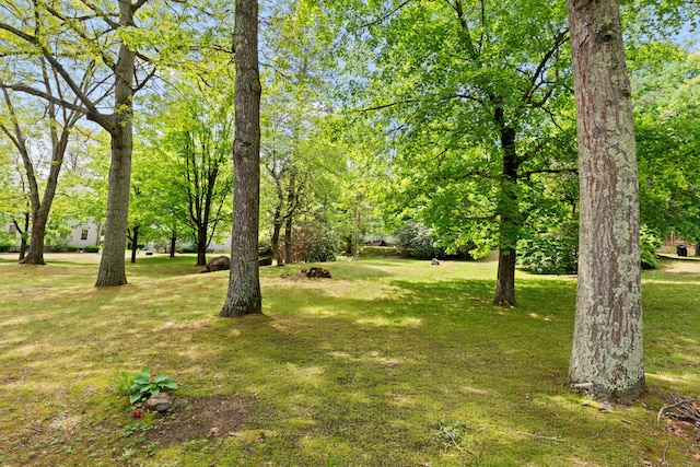 63 Schofield Rd Apt 60, Willington, CT 06279 - view of grassy yard
