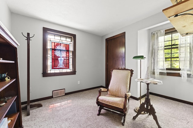 63 Schofield Rd Apt 60, Willington, CT 06279 - living area with carpet flooring and baseboards